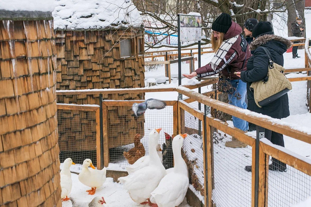 Экскурсия на городскую ферму ВДНХ